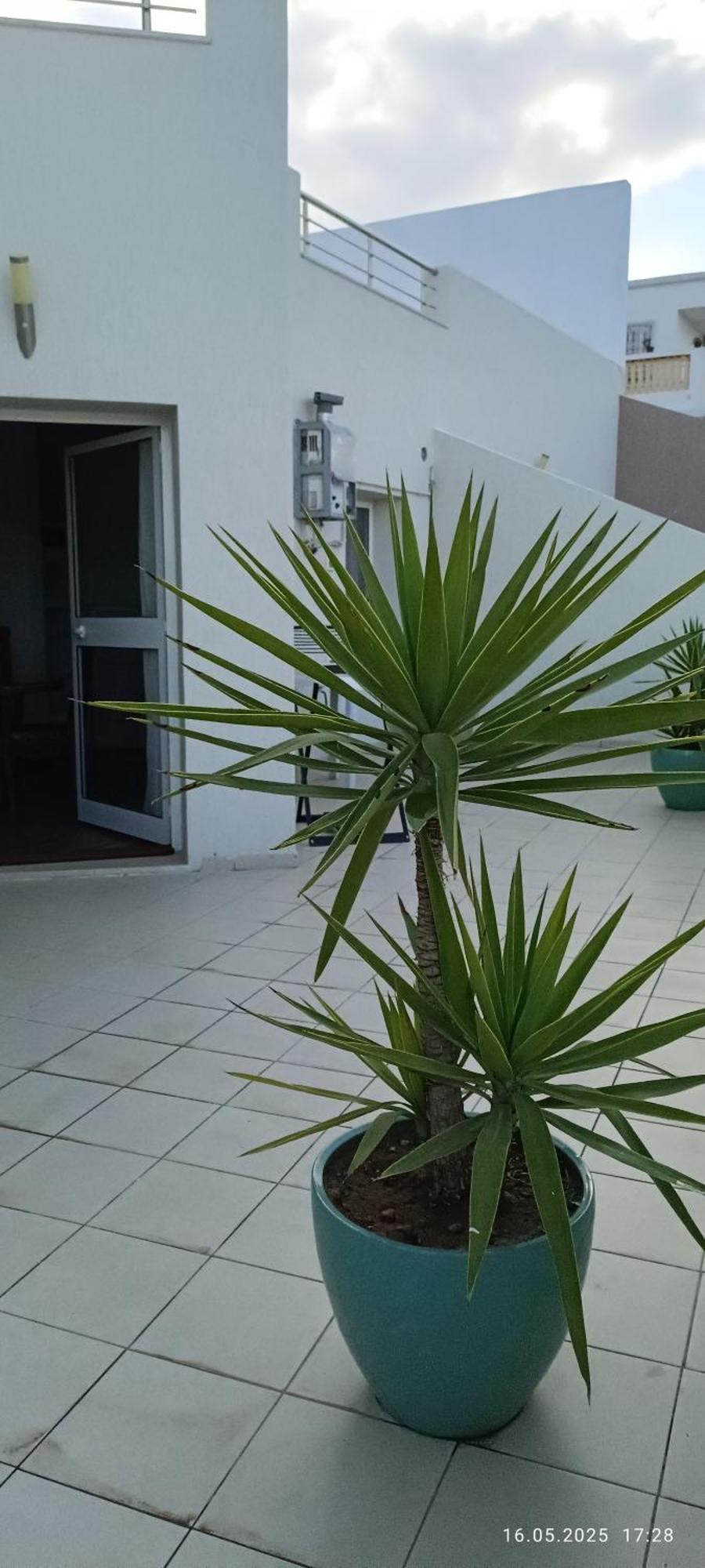 Residence Debbabi Sans Coupure D'Eau Monastir Habitación foto